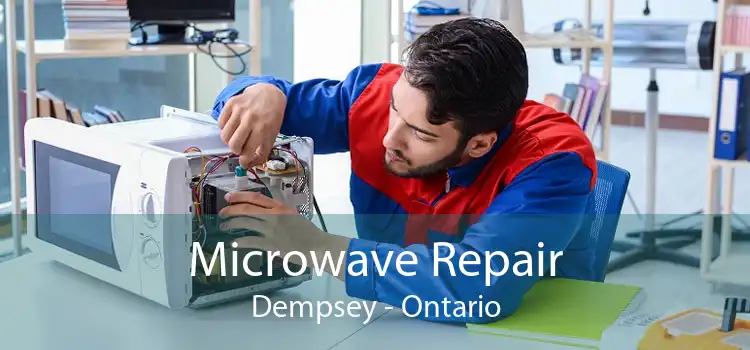Microwave Repair Dempsey - Ontario