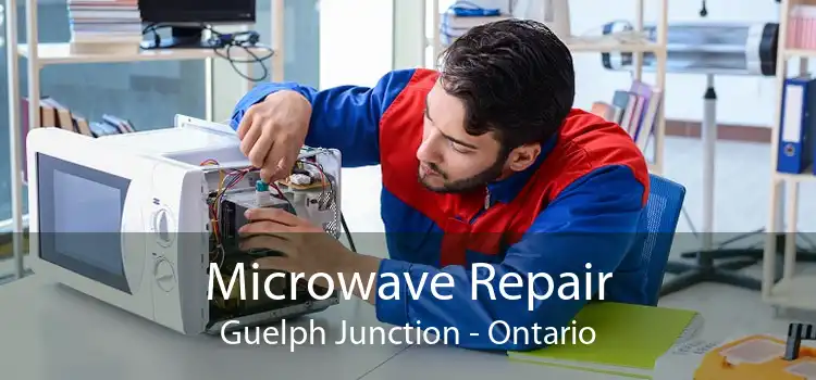 Microwave Repair Guelph Junction - Ontario