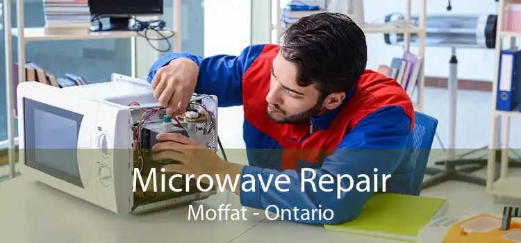 Microwave Repair Moffat - Ontario