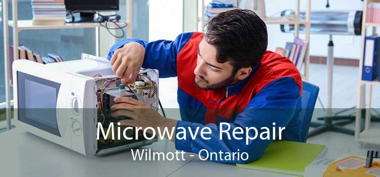 Microwave Repair Wilmott - Ontario