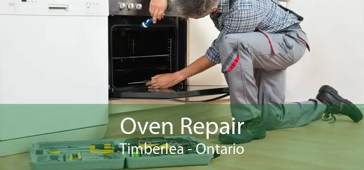 Oven Repair Timberlea - Ontario