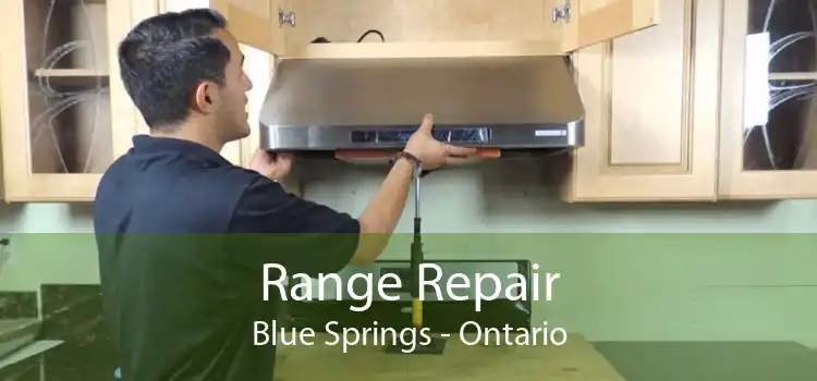 Range Repair Blue Springs - Ontario