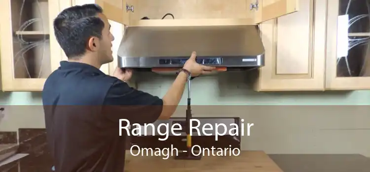 Range Repair Omagh - Ontario