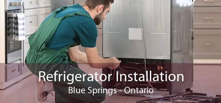 Refrigerator Installation Blue Springs - Ontario