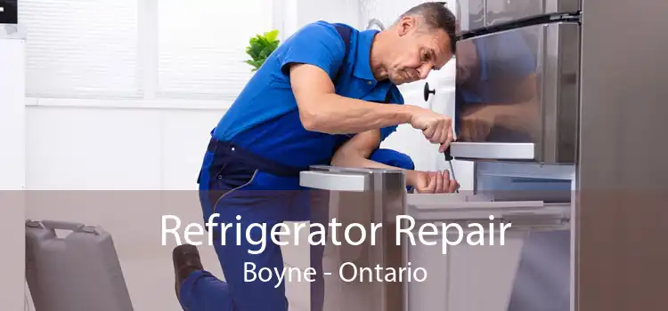 Refrigerator Repair Boyne - Ontario