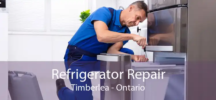 Refrigerator Repair Timberlea - Ontario