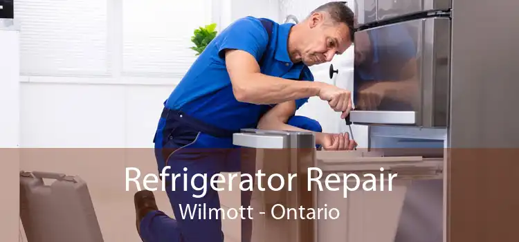 Refrigerator Repair Wilmott - Ontario
