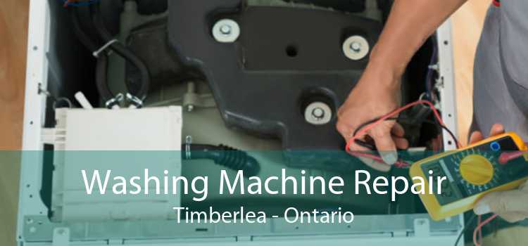Washing Machine Repair Timberlea - Ontario