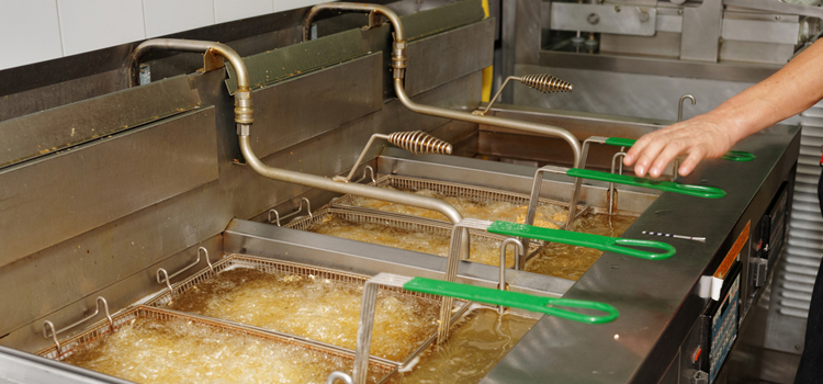 Liebherr Commercial Fryer Repair in Milton