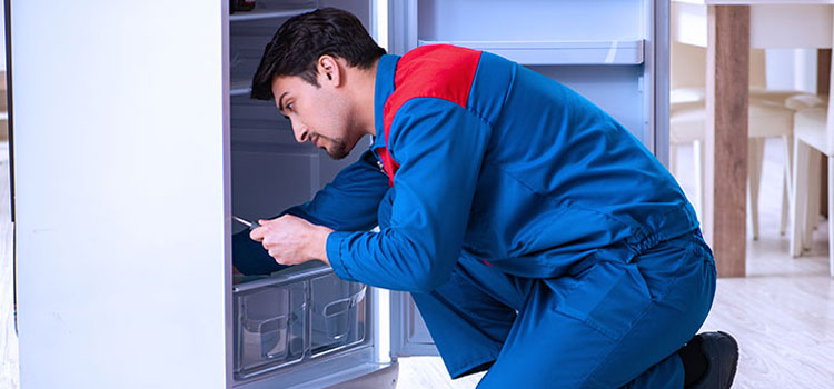 Sharp Freezer Repair Services in Milton